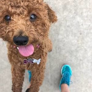 Meet your Posher, Karen